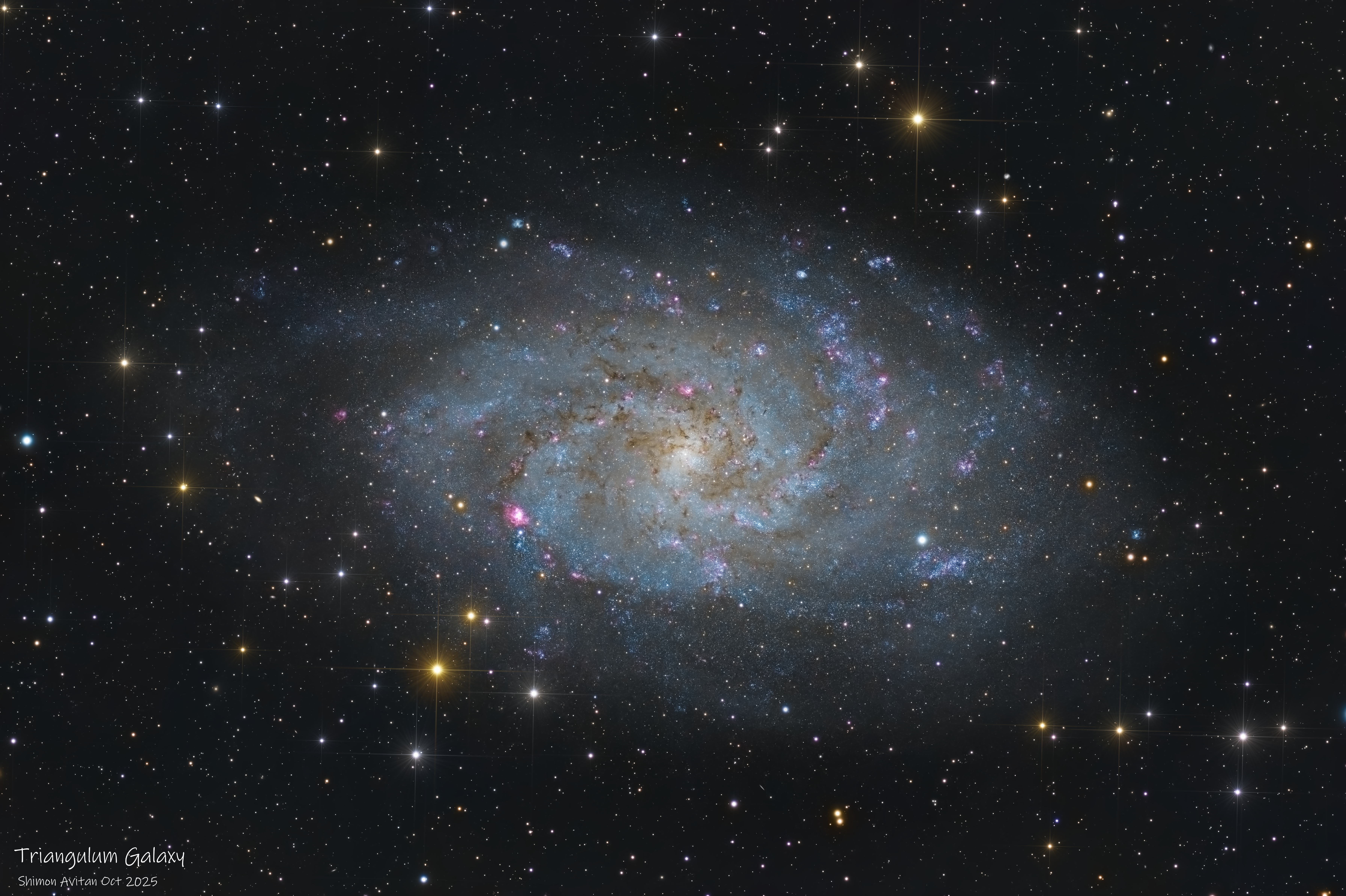 M33