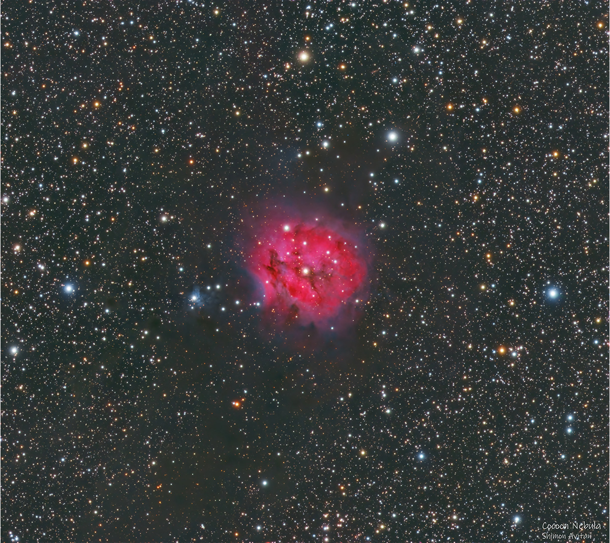 Cocoon Nebula (IC 5146) - Deep Sky Astrophotography