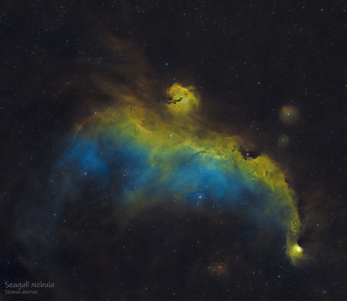 Seagull Nebula imaged with WO RedCat 51 - Deep Sky Astrophotography