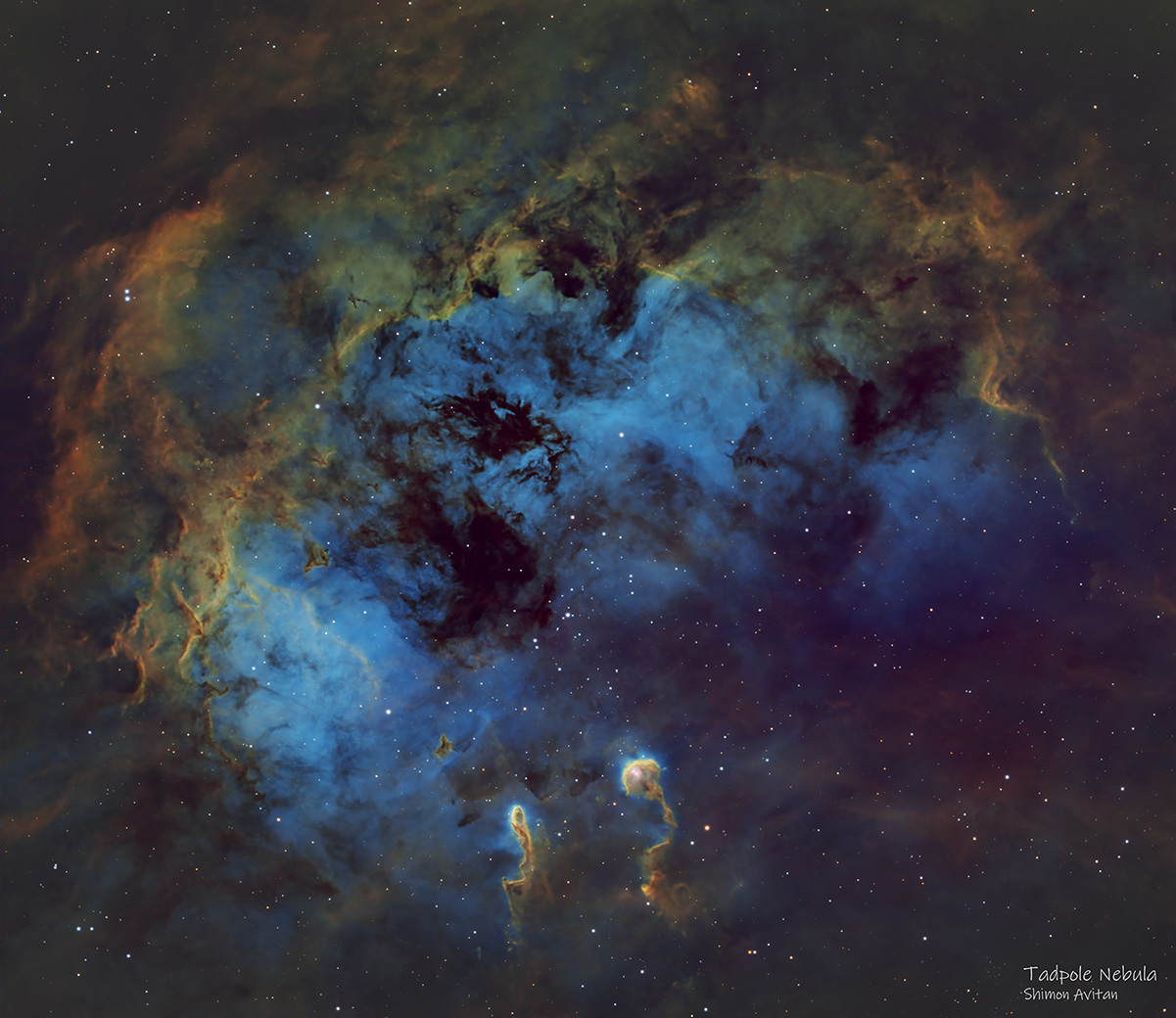 Tadpole Nebula (IC 410) in Hubble Palette - Deep Sky Astrophotography