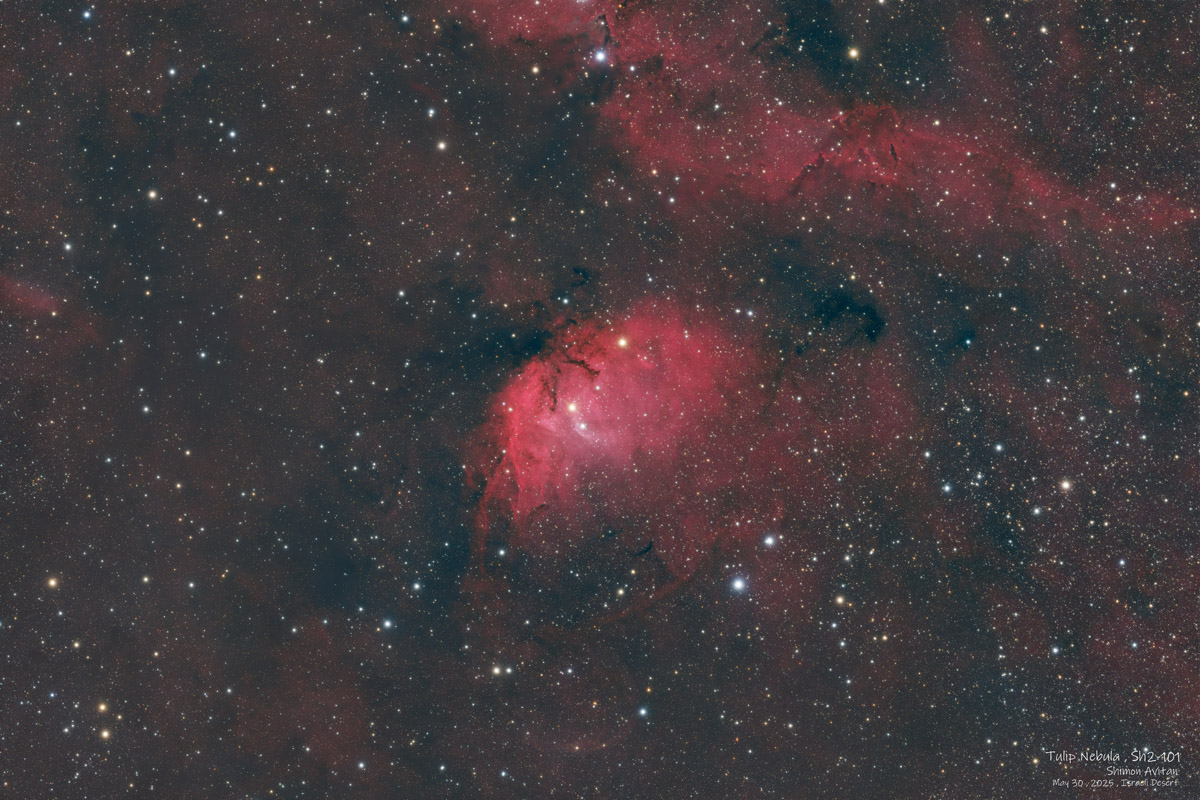 Tulip Nebula (Sh2-101) - Deep Sky Astrophotography