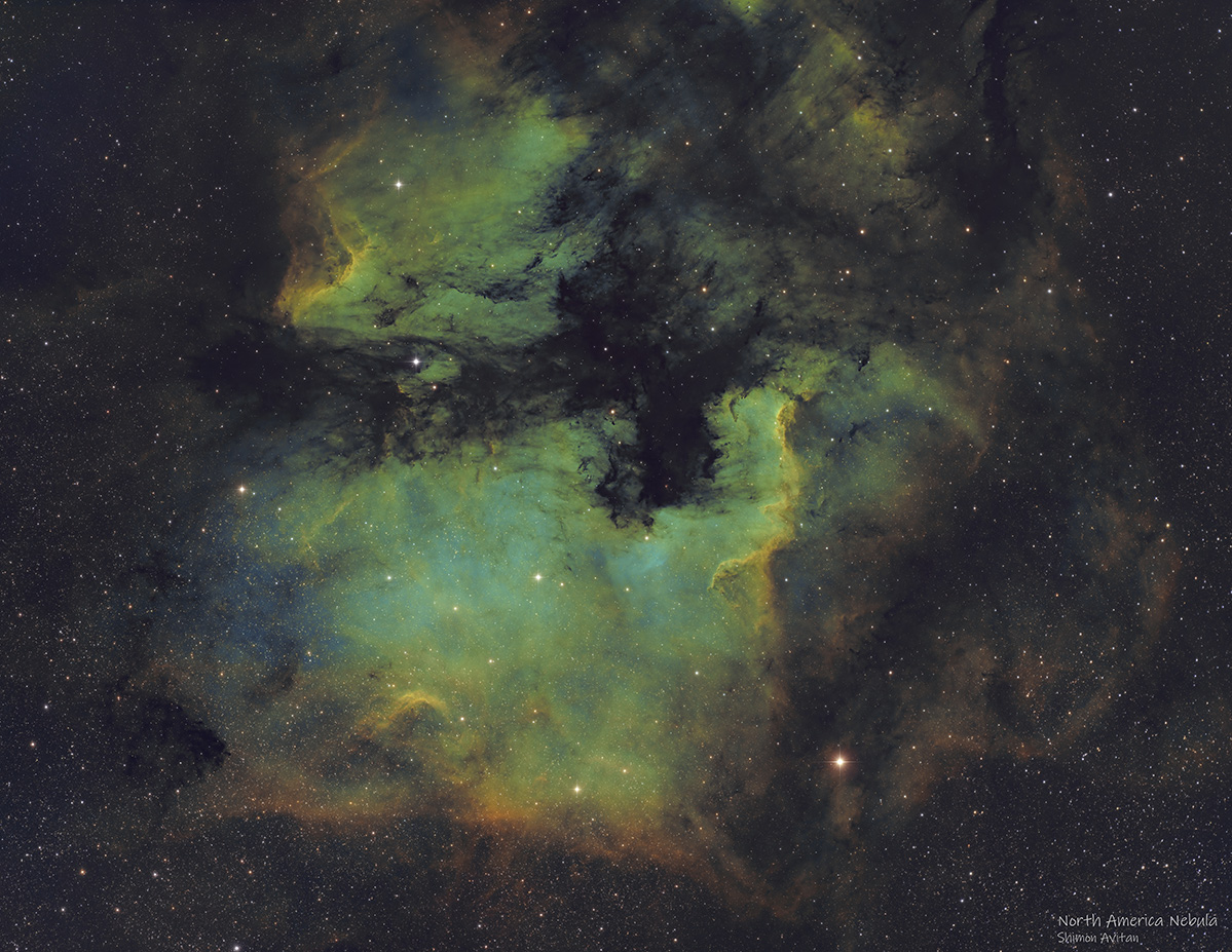 North America Nebula (NGC 7000) SHO Starless - Deep Sky Astrophotography